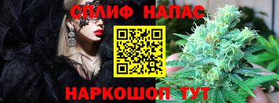 СК Изобильный