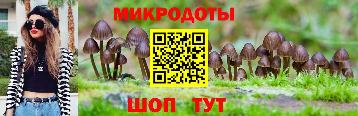 Галлюциногенные грибы Psilocybe Джанкой